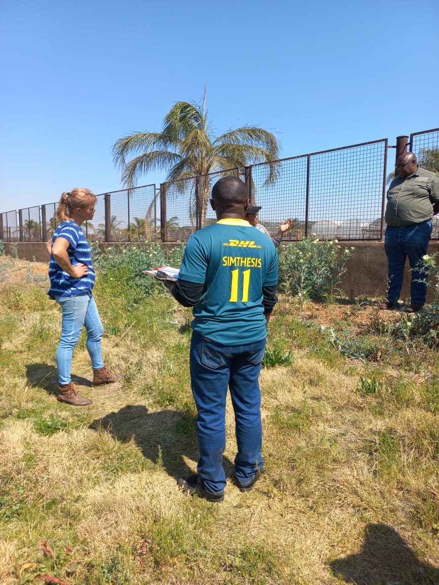 simthesisss's tweet photo. I'll take a good old fashioned 10+ points @Springboks win. Final home game for the year. Leave it all out there boys 👌🏽🤘🏽🍾✌🏽🇿🇦🤝🏽
#Springboks
#RugbyChampionship
#heritageday2022
#BRAAISTANDTOGETHER
#SpringbokSaturday
#SSRugby
#RSAvARG https://t.co/03Qvyel5t0