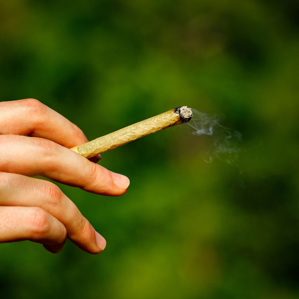 When the trail calls for a break, take a rest stop with Whistler’s Sour Jack pre-rolls. With rich flavours of tropical fruit and fuel, these half-gram joints are perfect for that mid-hike recharge. 🥾