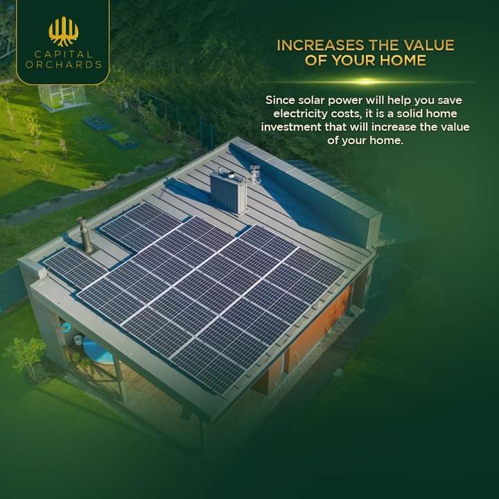 zohaibejaz2258's tweet photo. Biodiversity refers to every living thing, including plants, bacteria, animals, and humans

#CapitalOrchards 
#RoadShow https://t.co/S8I8sQ8r8G