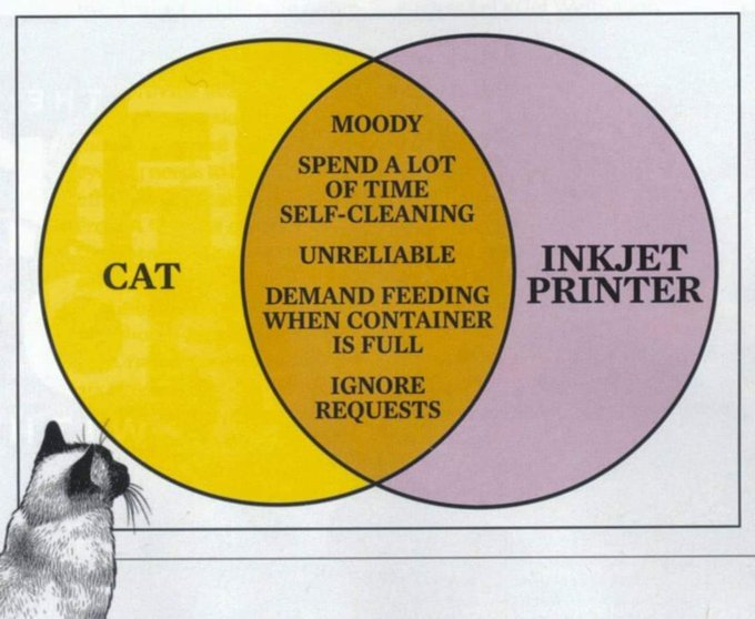 nixcraft's tweet photo. ... and now something for #Caturday ... stress relief for all of you. lol https://t.co/OpOgUFSizG
