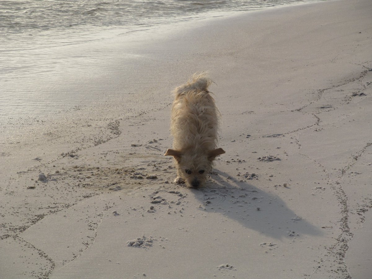 Fern Hallman tweet media