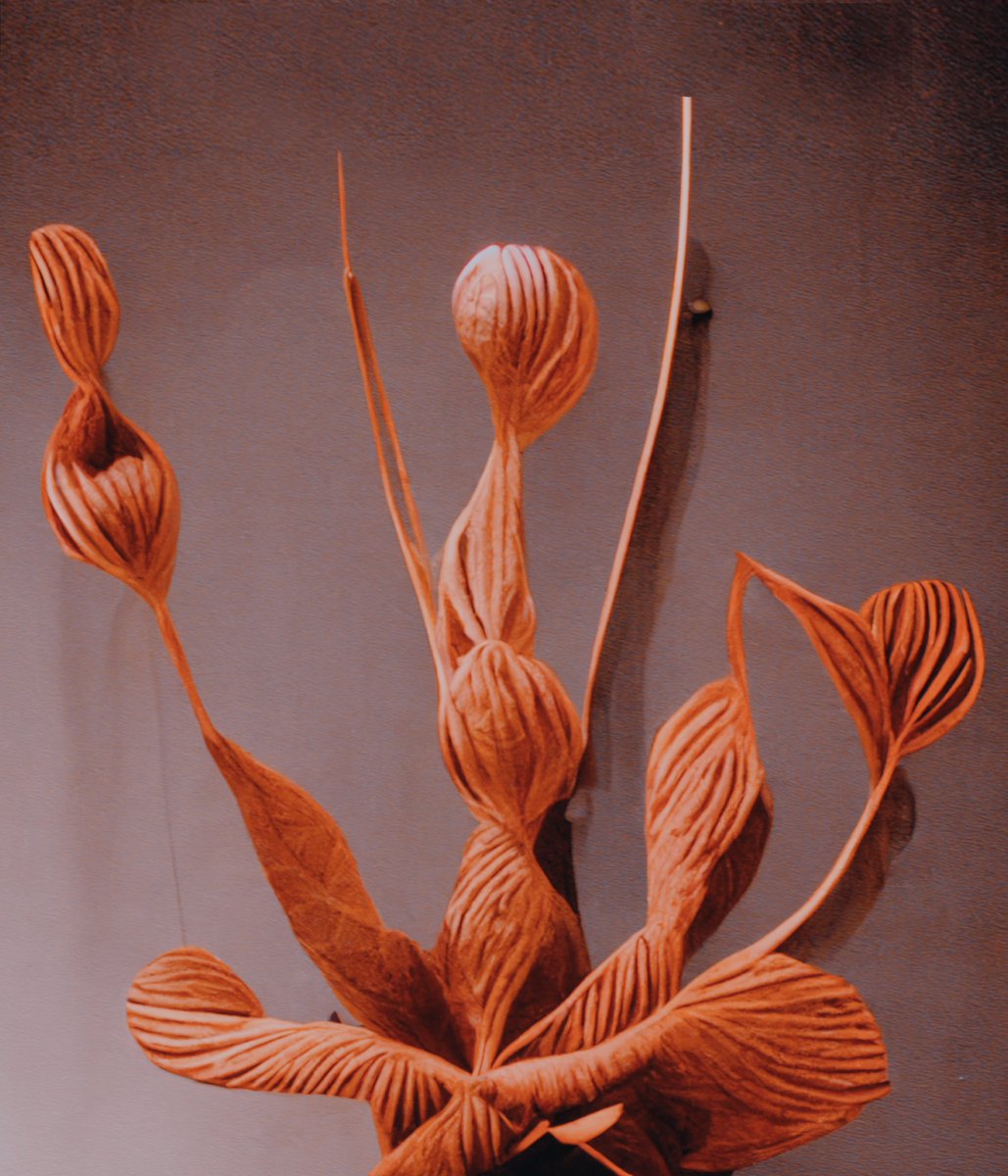 Studio Brasch tweet media