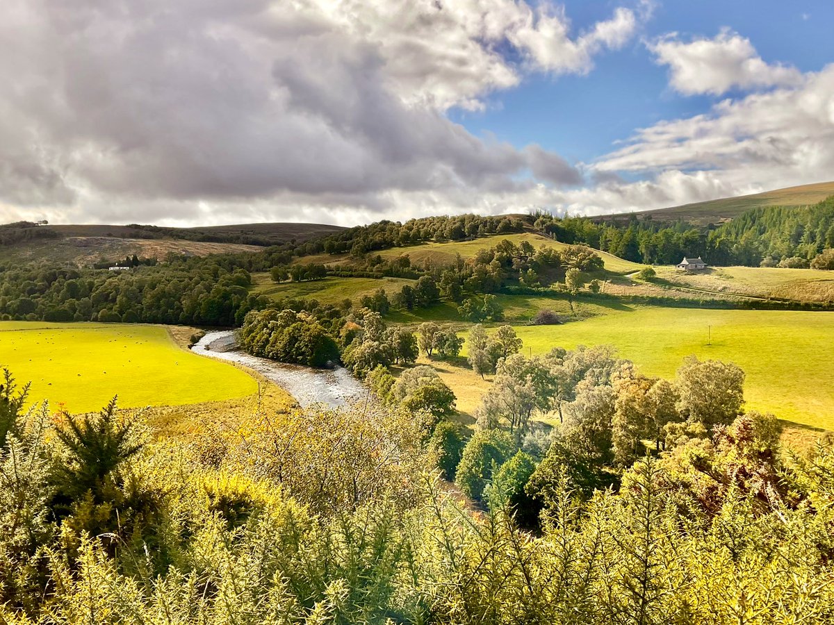 TheMackWalks's tweet photo. Today, Glenavon💙 #walking #hiking #glenavon #glenlivet #delnabo #riveravon #waterofailnack #tomintoul #cairngormsnationalpark #moray https://t.co/6j2K8vTxCY