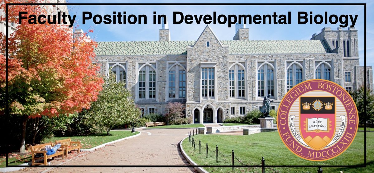 Boston College is hiring a Developmental Biology colleague (assistant/associate/full) 🔬🧑‍🎓🦎🧬🧫🐟👩‍🔬
Our scientifically diverse, collegial R1 Biology Department has fantastic resources and outstanding PhD &amp; UG students. Come join us!
#academicjobs #facultyjobs #biologyjobs