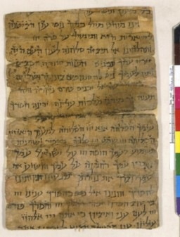 Simcha Gross tweet media