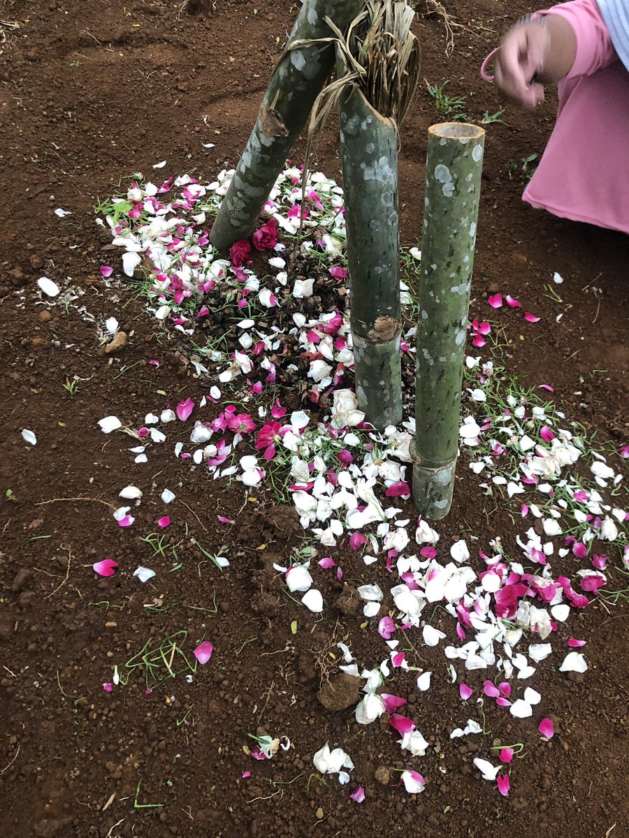 deknursayang's tweet photo. Bapak kehilaganmu awal hancurnya sebagian duniaku, putrimu akan berusaha kembali pulih berbura pura baikbaik saja untuk menjalani kehidupan selanjutnya demi istrimu, lihatlah betapa berusahanya aku mengantikanmu bertanggung jawab dalam banyak hal berbahagialah disana, https://t.co/TsXFMezBx5