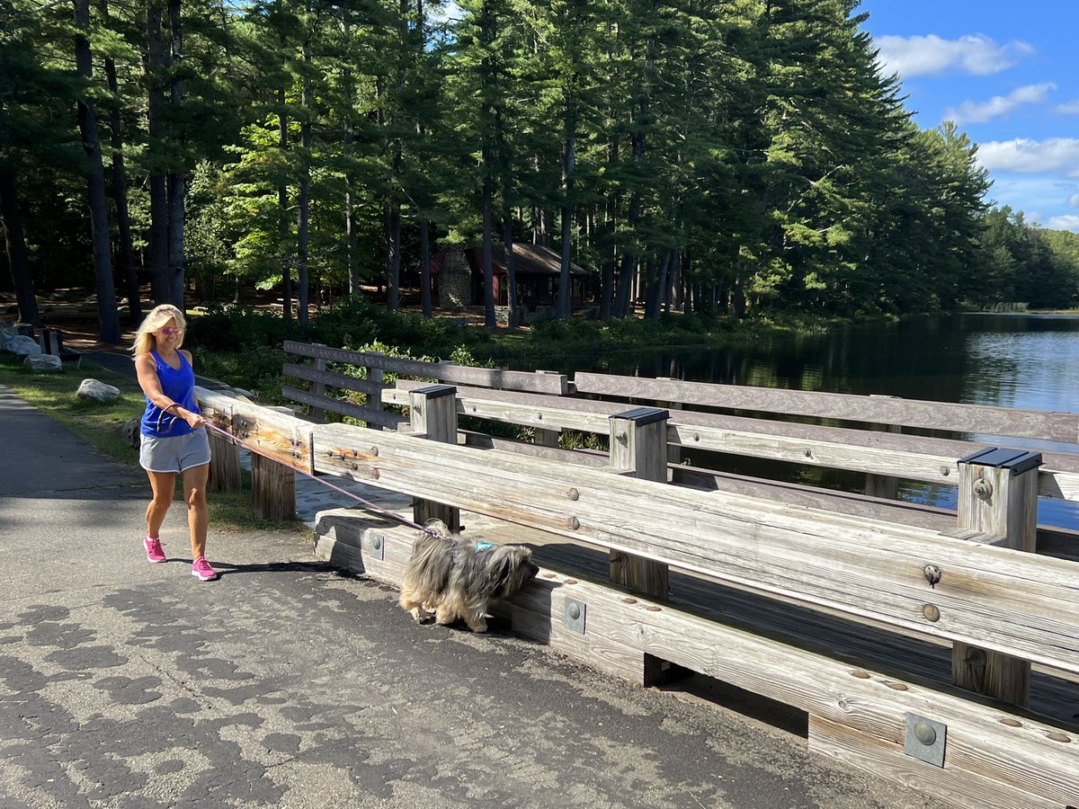 KayDMooney's tweet photo. It’s Walk Day for the #WorldsLargestPetWalk in support of @pet_partners! Team Ozzy’s Crazy Train had a beautiful day for the event. https://t.co/8fTMpOau7d