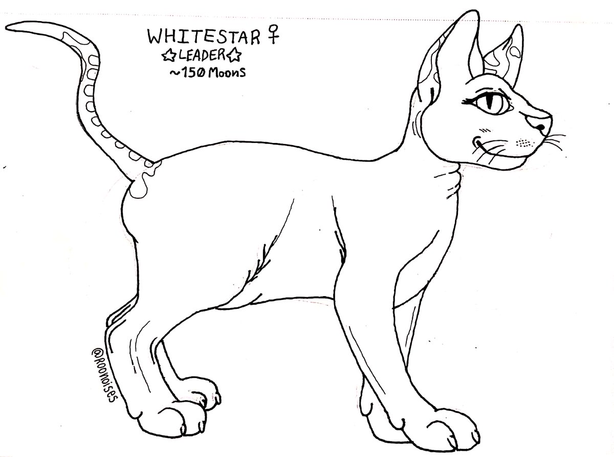roo_works's tweet photo. Clan generator shenanigans!

#warriorcats #furryartist #furryfandom #clangenerator #warriorcatsoc https://t.co/44ZuXfB5GB