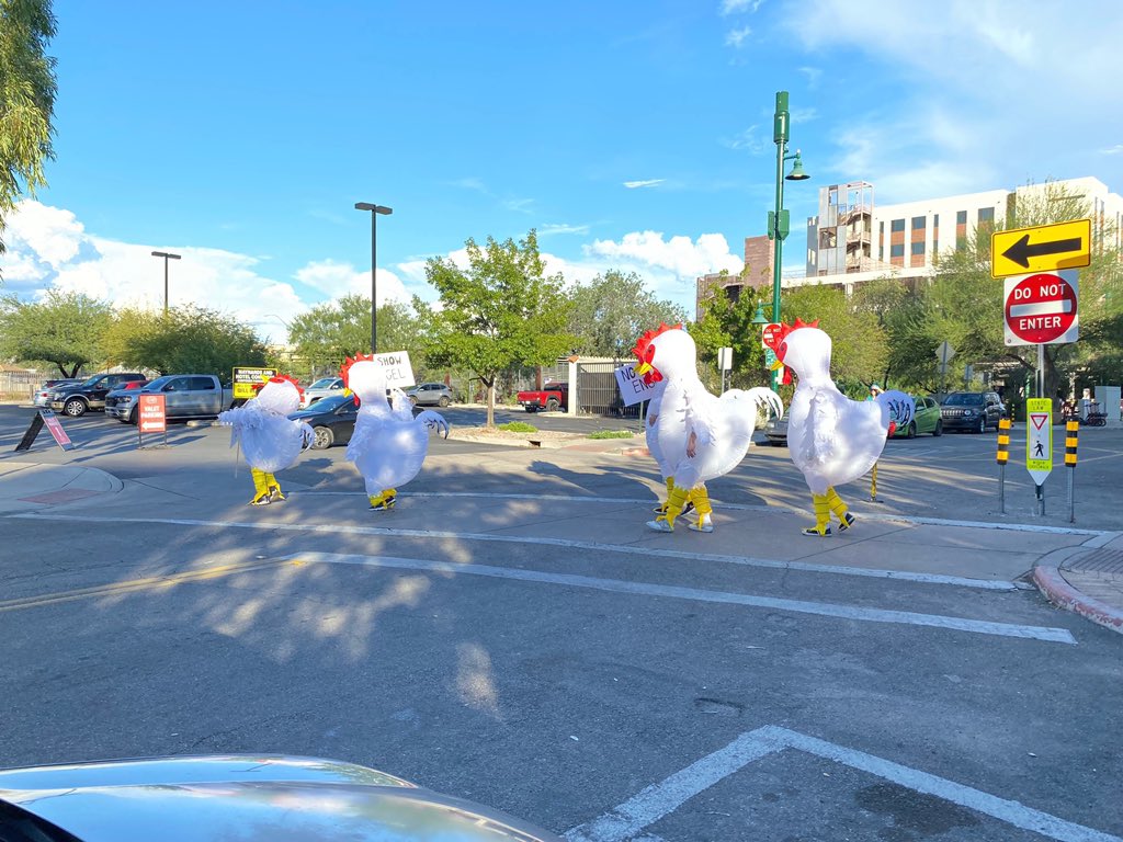 TorunnSinclair's tweet photo. .@EngelForArizona is too chicken to debate. #AZ06 #BockBock
Read more in @azcentral: https://t.co/KHglx21rCu https://t.co/Ajq2YenkhM