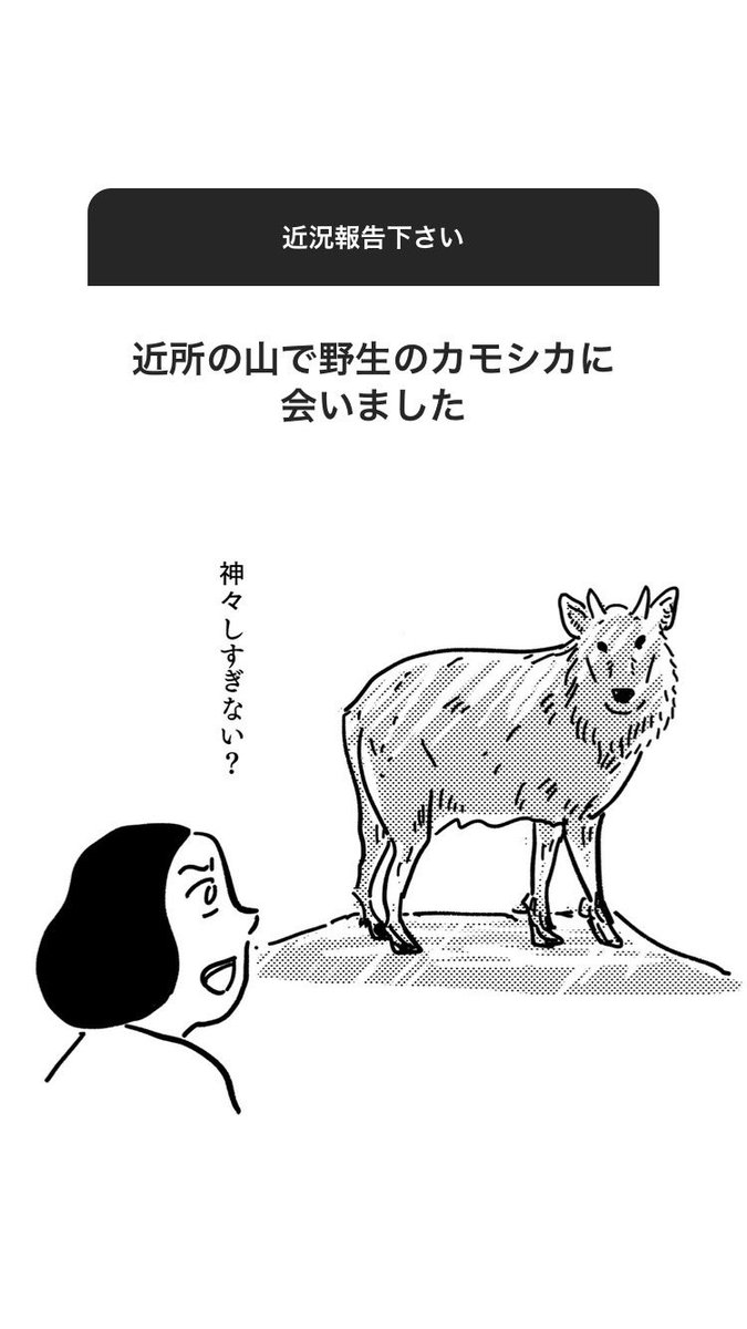 Instagramのストーリーズの質問機能を使って人の近況報告聞くやつを久しぶりにやりました。〜秋の陣〜 