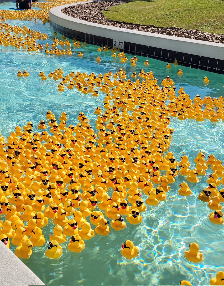 vseyer's tweet photo. Ready, set, go! @MDAndersonNews proudly supporting  today's Community Assistance Center's 15th Annual Duck Race! Proceeds from this fun-filled event will provide resources to meet basic needs and improve quality of life for our neighbors in #MontgomeryCounty #EndCancer https://t.co/JWdQHxASw5