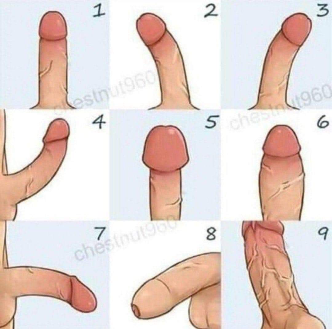 hotflixbr's tweet photo. Qual o seu? https://t.co/fuZKZdaW0C