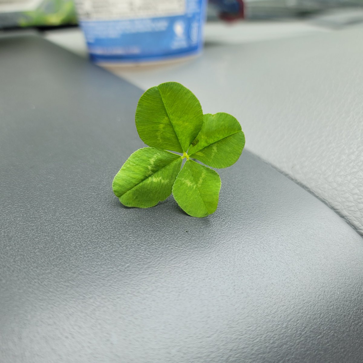 Hector: Crypto Coin Buyer tweet media