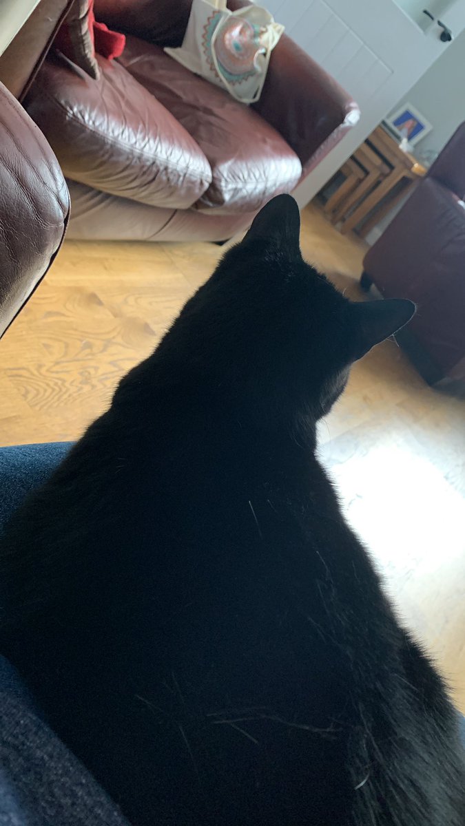 annetteholliday's tweet photo. Mrs Bartlet is helping me procrastinate #MScOnline #dissertation https://t.co/5Va9alC5re