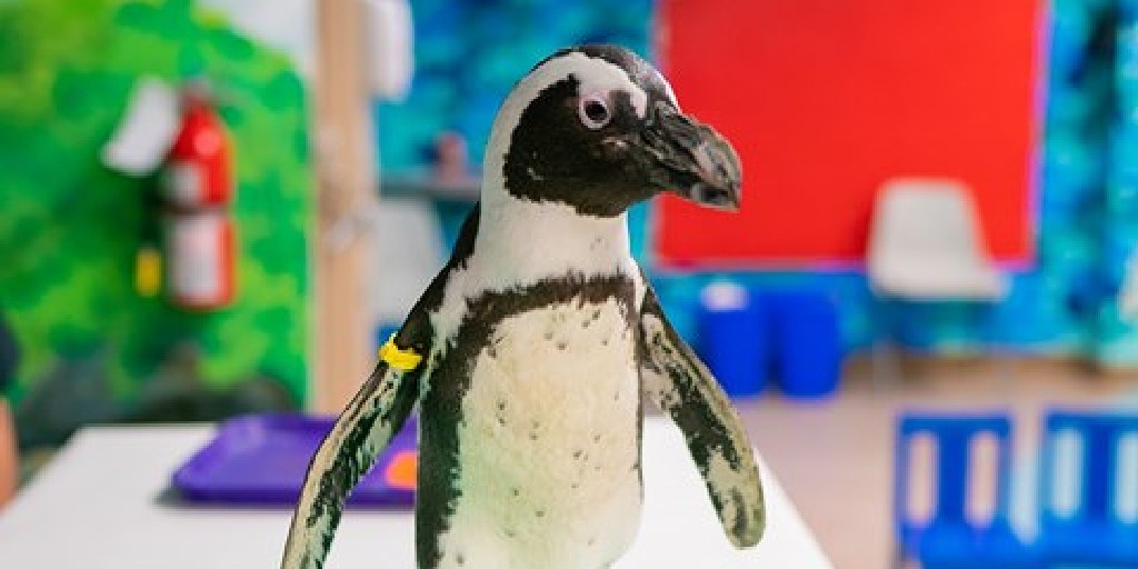 epldotca tweet media