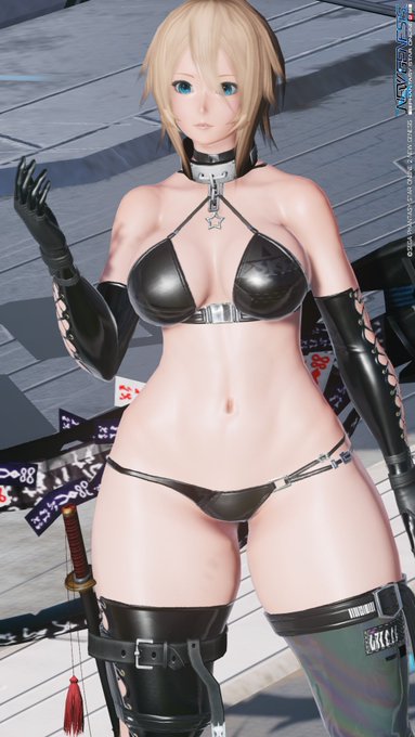 過去SSから引っ張って来たけどNGSボディ両立できてるこの夏になにかアプデでやらかした?でぶにゃんのNGSボディの調整初期化されてんだけどおいハゲ 