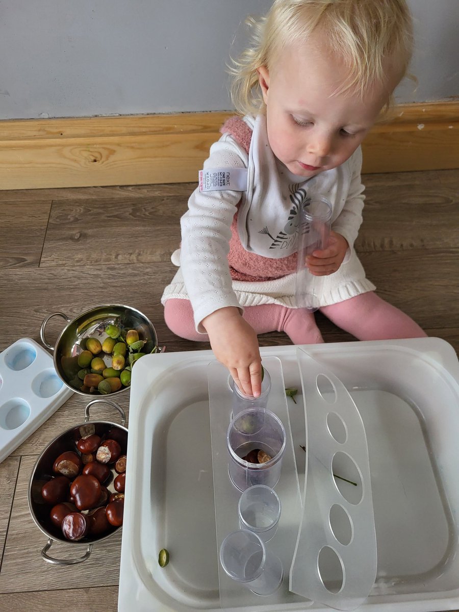 MrsKavanagh79's tweet photo. Autumnal loose parts play 🍂
#naturestreasure 
#loveautumn
#loosepartsplay
#imaginativeplay https://t.co/vRbnaFxe19