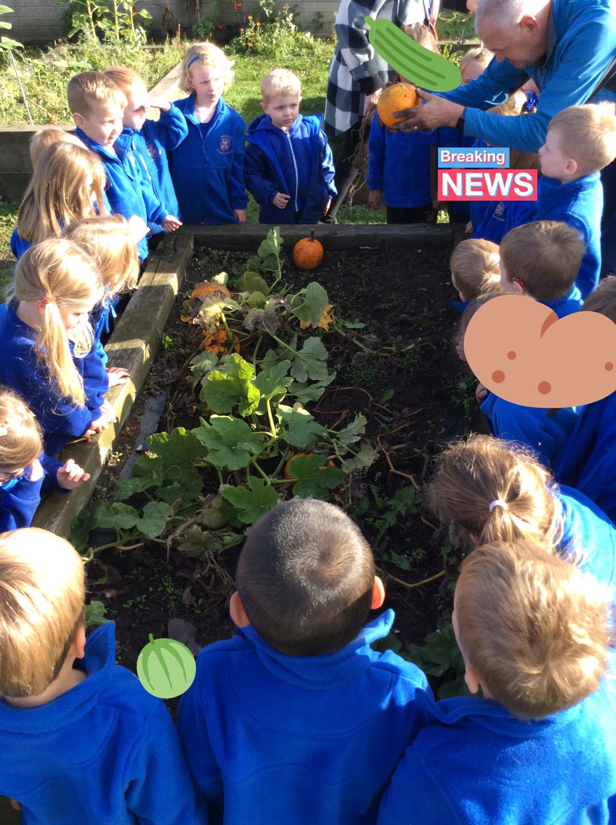 Elworth CE Primary tweet media