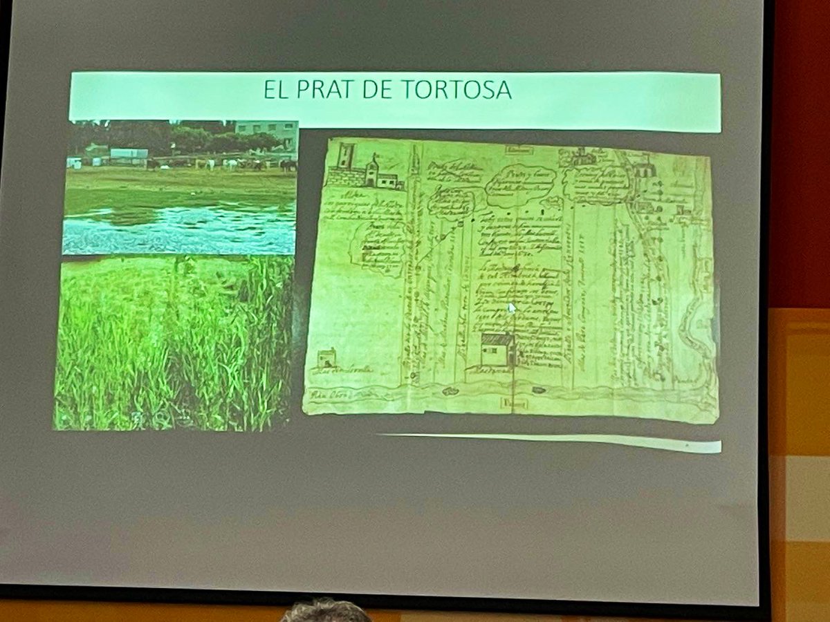 ERoigM's tweet photo. “DE TURTUSA A TORTOSA•Ciutat i espai rural abans i després de la conquesta cristiana (segles X-XIII)
Molt interessant jornada divulgativa al #PalauOliverdeBoteller on Antoni Virgili i Núria Pacheco han mostrat resultats de la investigació #ARAEM @UABBarcelona #Tortosa #Cultura https://t.co/2eUjSSO7BK