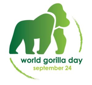 miketerungwa's tweet photo. Its #WorldGorillaDay
Its a call once again inviting ALL to answer the call for gorillas: Protect and conserve their Habitat - say no to bush meat #SayNoToBushMeat
Thanks to communities and organizations that their actions are protecting these great apes.
#WorldGorillaDay2022 https://t.co/nFibKhBD1o