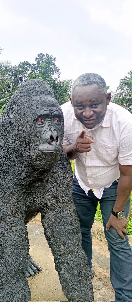 miketerungwa's tweet photo. Its #WorldGorillaDay
Its a call once again inviting ALL to answer the call for gorillas: Protect and conserve their Habitat - say no to bush meat #SayNoToBushMeat
Thanks to communities and organizations that their actions are protecting these great apes.
#WorldGorillaDay2022 https://t.co/nFibKhBD1o