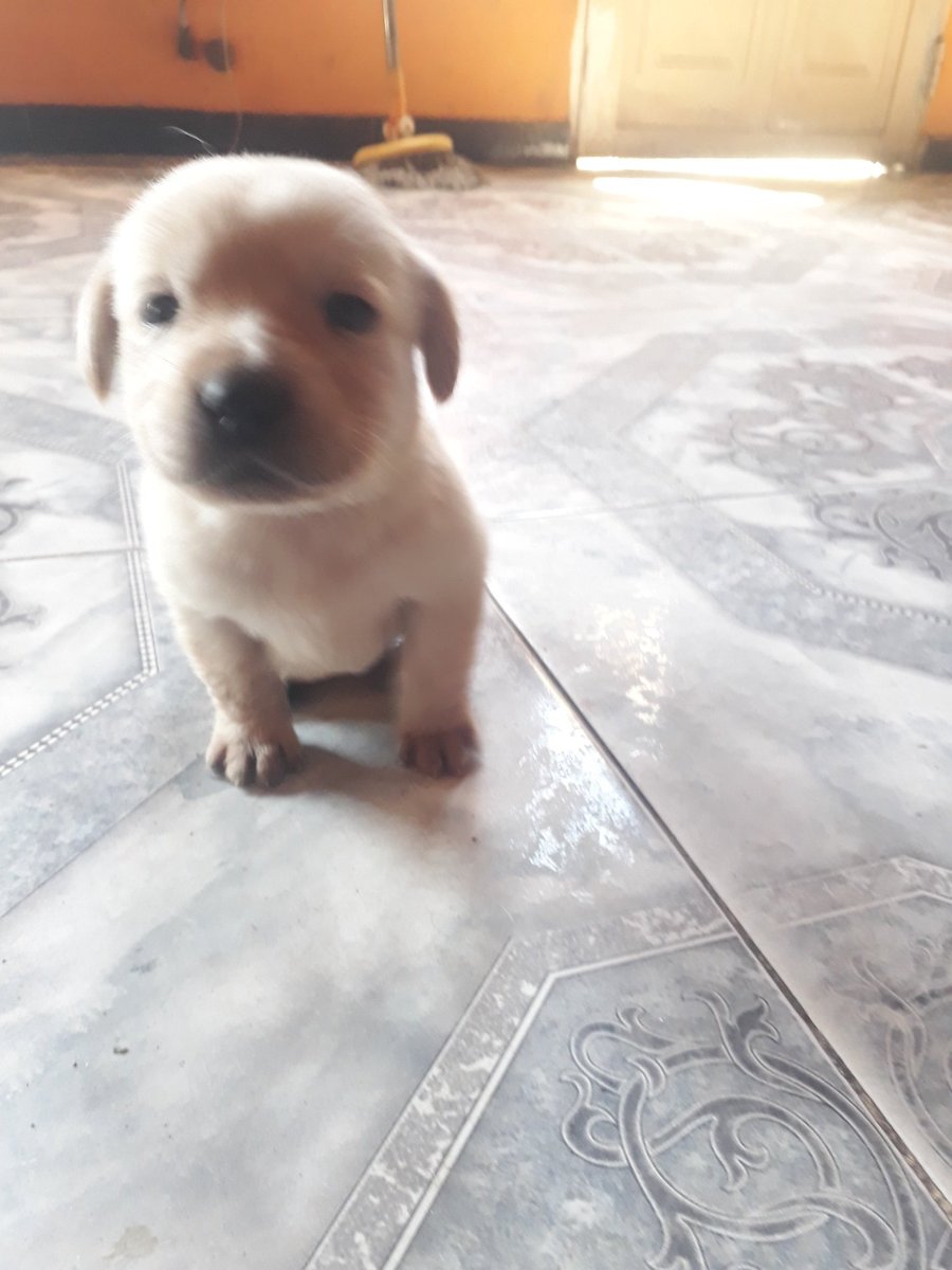 Lo mas lindo que tengo TORETA 😍