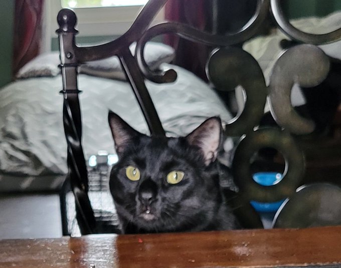 Sam wants Nachos an Cherry Bombs 🤣 https://t.co/EUCbr4wwSg