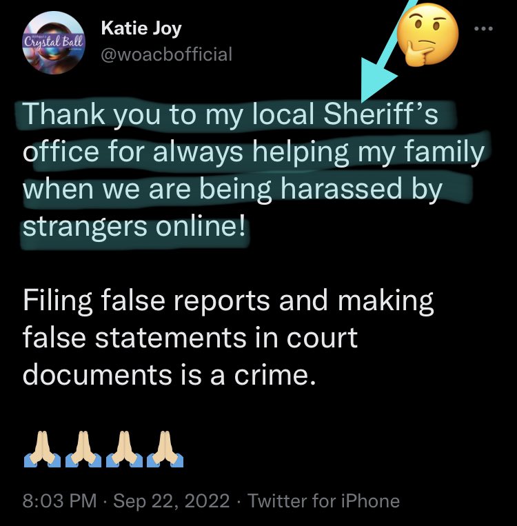 HungoverKJ's tweet photo. Dear @HennepinSheriff :

A resident in your Co, Katherine Paulson (aka #WithoutACrystalBall ) claims to her 260k followers that ppl she’s harmed can not contact you, &amp; “you’re aware of her &amp; won’t look into any claims reported against her”; IS THIS TRUE? (SEE BELOW TWEETS) TY🙏🏻! https://t.co/BsxCTWhq2u