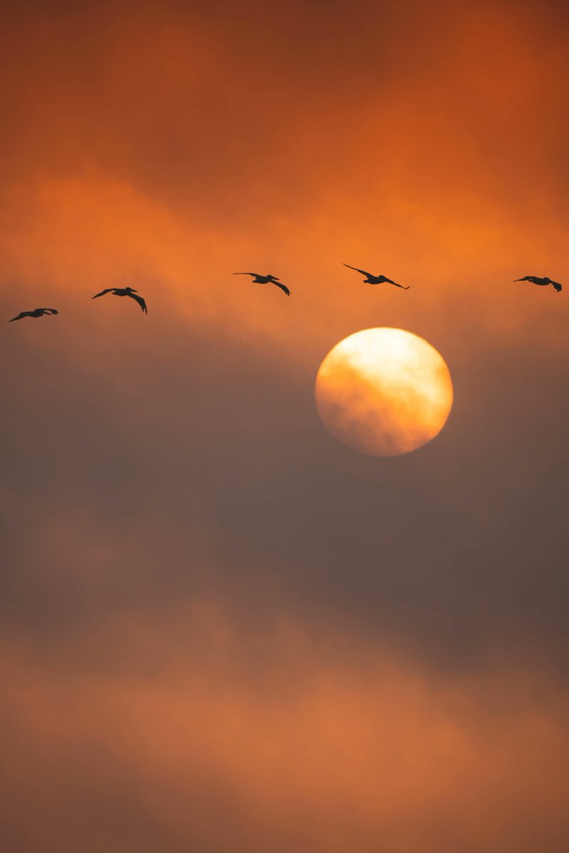 michelemeiche's tweet photo. The shifts, loss and changes that are taking place are happening so that you can express more of your authentic you. #michelemeiche #soulinsights #authenicSelf https://t.co/llfXEfhaUq