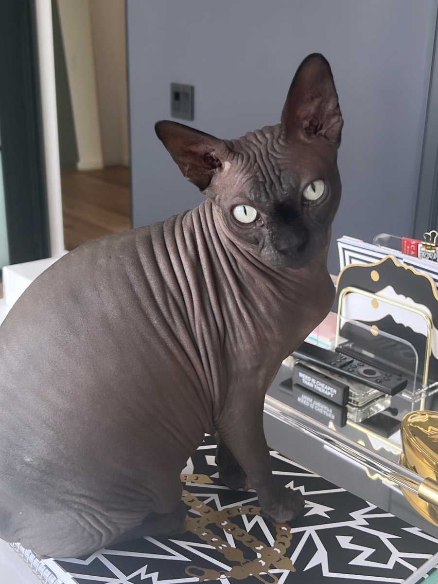 NUDIE COMMUNITY tweet media