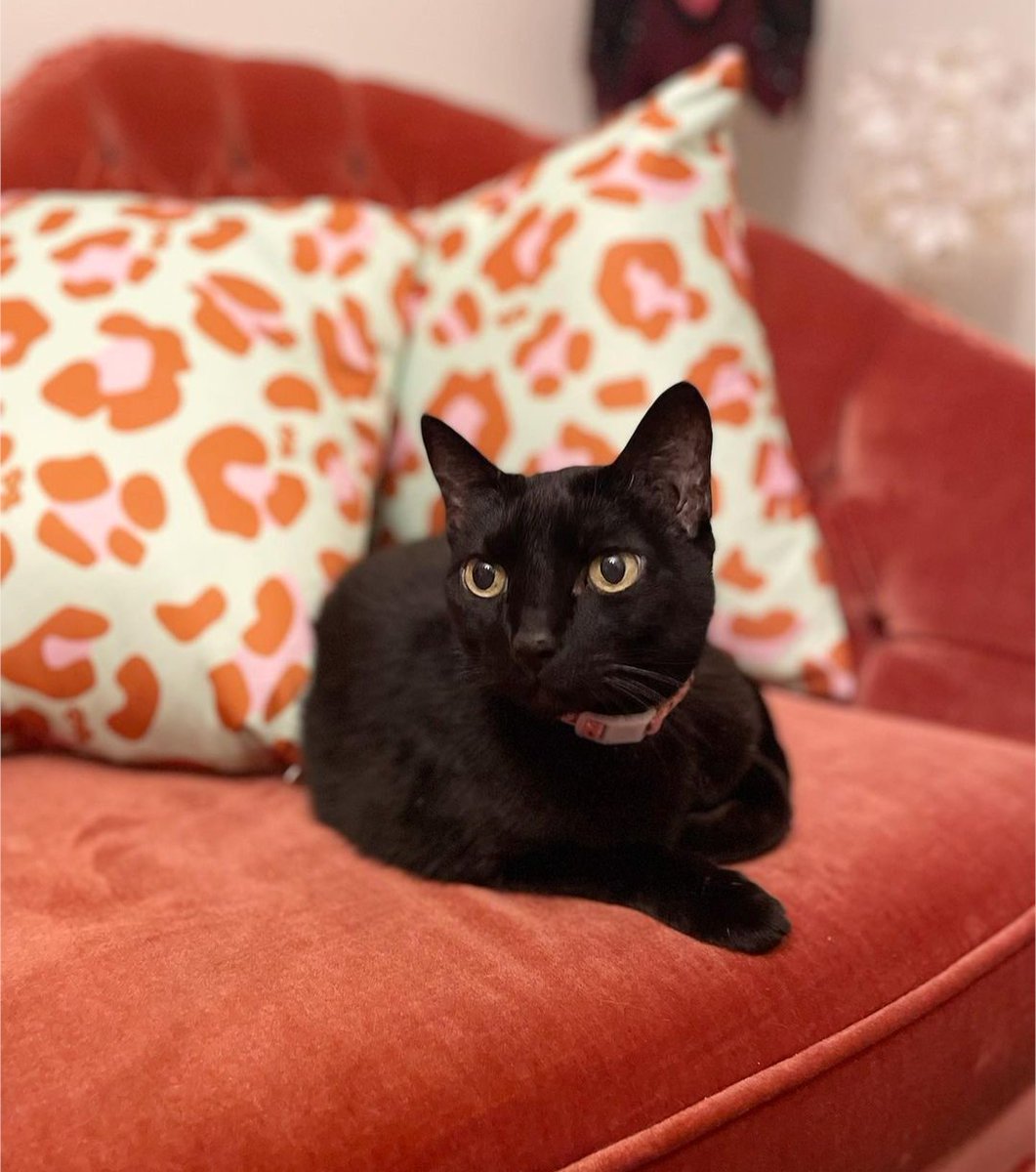 NUDIE COMMUNITY tweet media