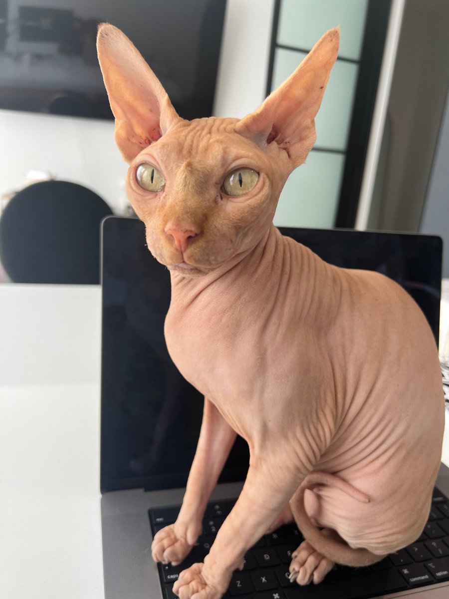 NUDIE COMMUNITY tweet media