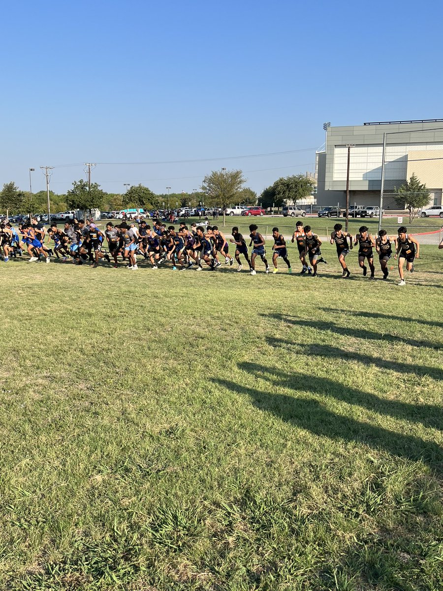 Naaman XC tweet media