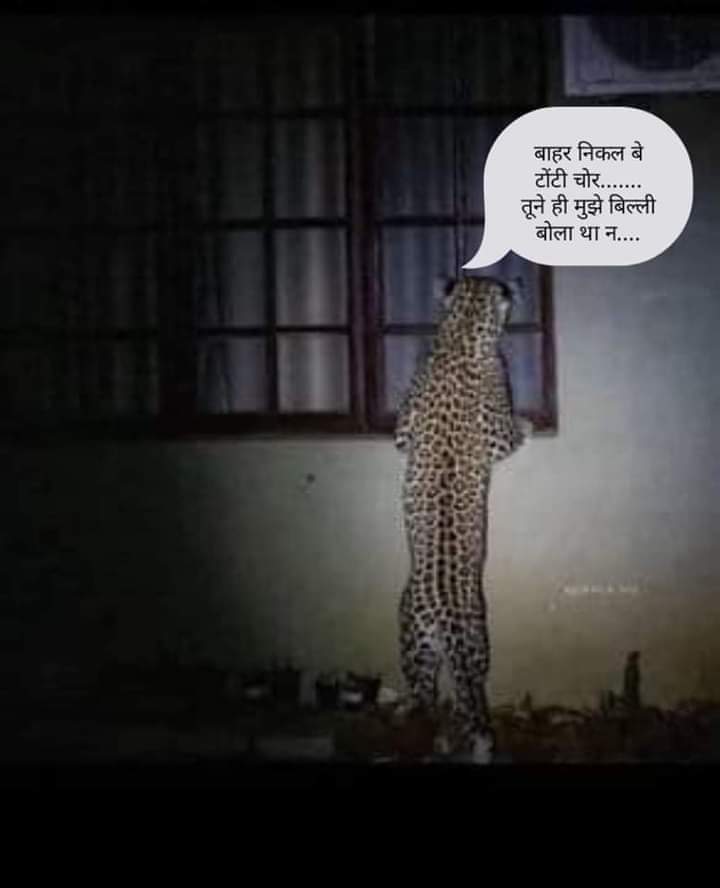 OmpanditG's tweet photo. #toti_chor https://t.co/Mmd72efzj8