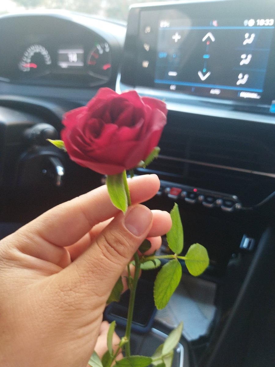 ❤️ Senin gülüşün  kadar güzel değil .