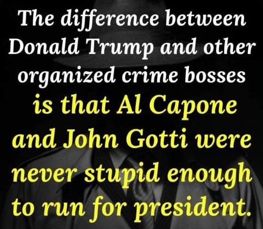 DiverseGenre's tweet photo. O Donnie - you shouldn't have ... https://t.co/hjM0Vomr4C