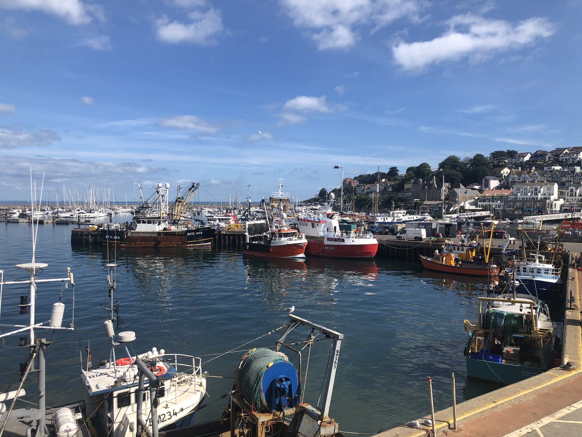 LorraineInglisD's tweet photo. A few more pics from beautiful Brixham last weekend☀️🛥⚓️ #brixham #DEVON #ilovedevon #exeterhour #Exeter #reflections #coast #chilling #blueskies #nofilterneeded https://t.co/fqku3iz7tq