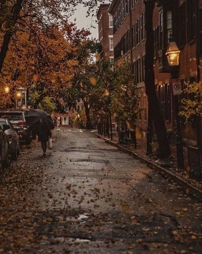 solitudeacres's tweet photo. season of change 🍂🤎 https://t.co/ZS2t111Gq0