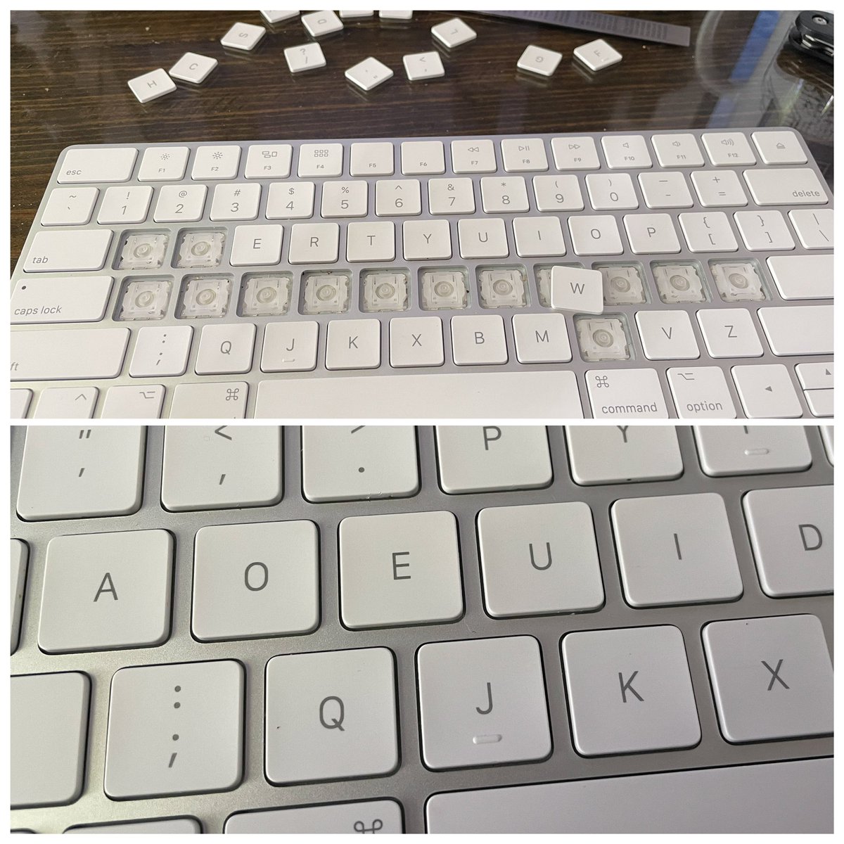 Bobbie Retro tweet media