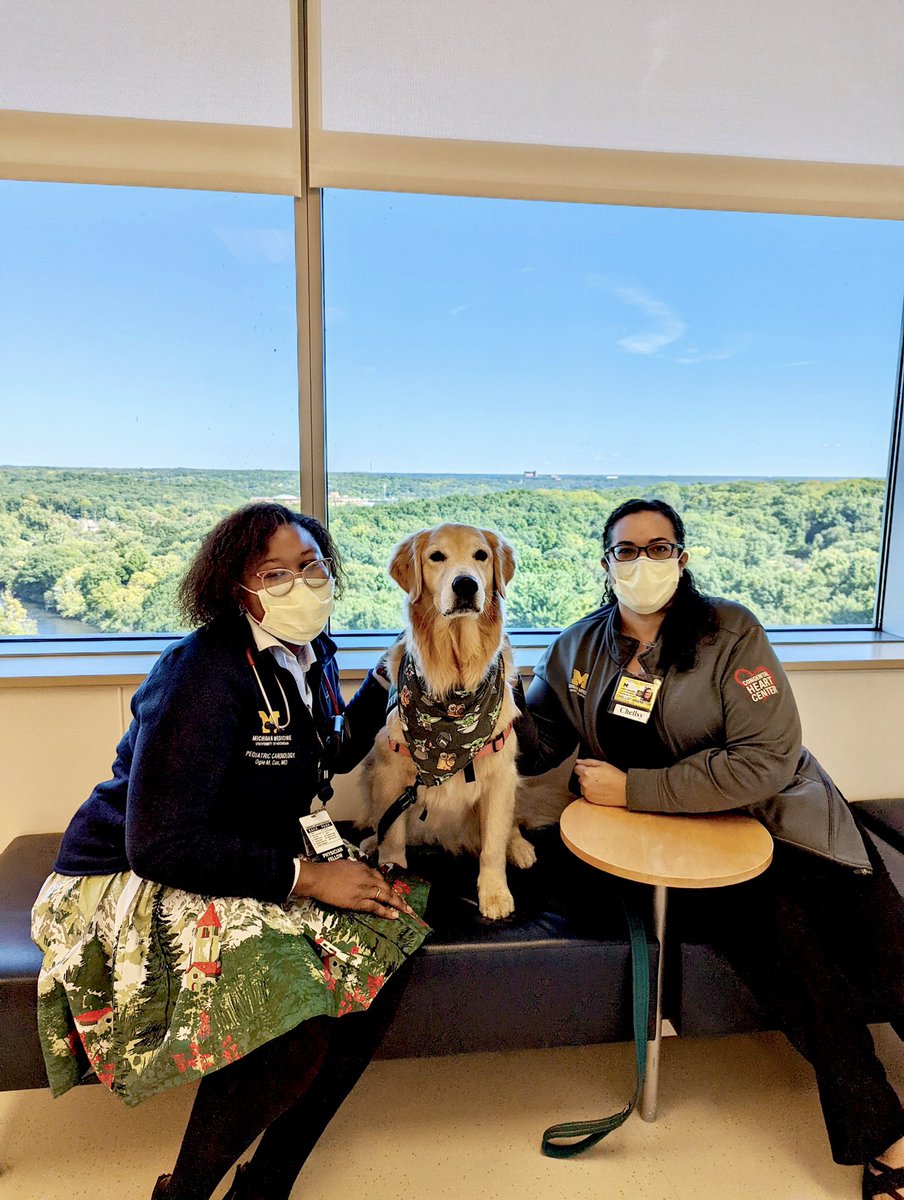 Perfect end to my first consult block! What a pup! The actual BEST girl, Fawn, is a vital member of our #MottCHC 〽️team! She's officially official, with a badge and everything, btw 🥹😍 Also, check out her cute #grogu bandana! #PedsCards #MedTwitter