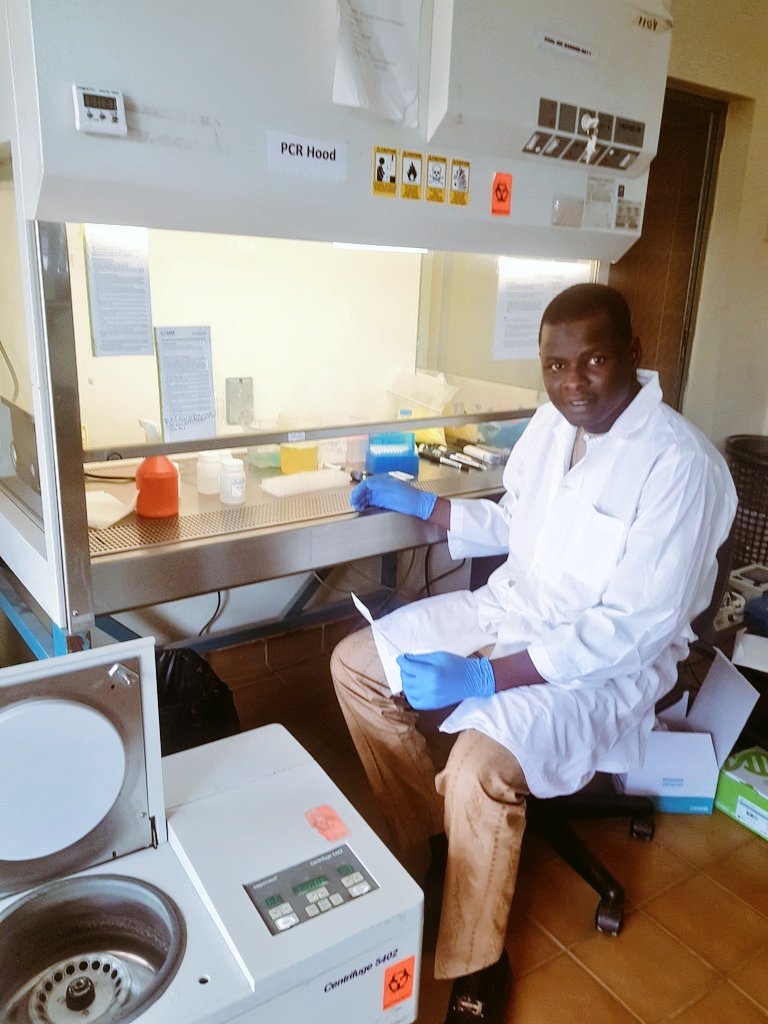 Xanna07's tweet photo. Gene Editing: The Hope to Global #Food #Security and One #Health System 🌾🌍🧬

I am working on the first stage of Gene Editing which is Forensic #Biotechnology using RT- PCR to detect the gene of interest through amplification.

@ScienceAlly @OFABnigeria @nabdanig @IITA_CGIAR https://t.co/awWwihC6pr