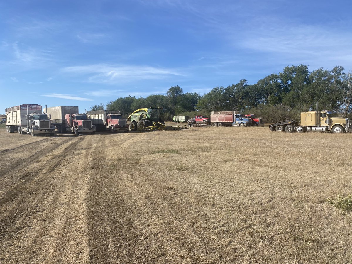 Camp packed up and the traveling shit show moves on.