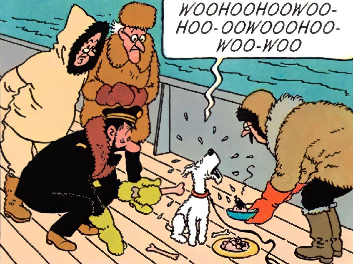 daily tintin (@tintinarchive) / Posts / X