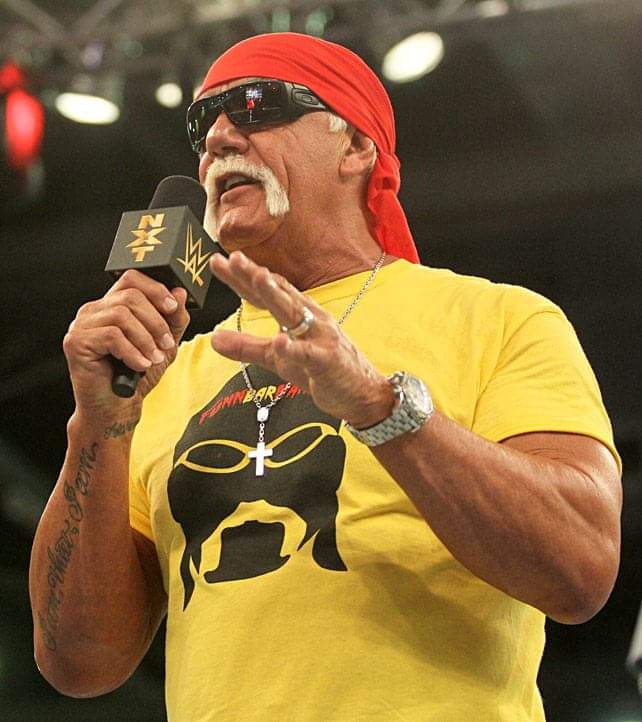 Chris2001Harris's tweet image. @_ColeBennett_ said if he couldn't get @MikeTyson for @Eminem  Godzilla music video @HulkHogan would've been the backup plan, Marshall has made lots pro wrestling references in the past and even in Godzilla so imagine if that happened #streamgodzilla