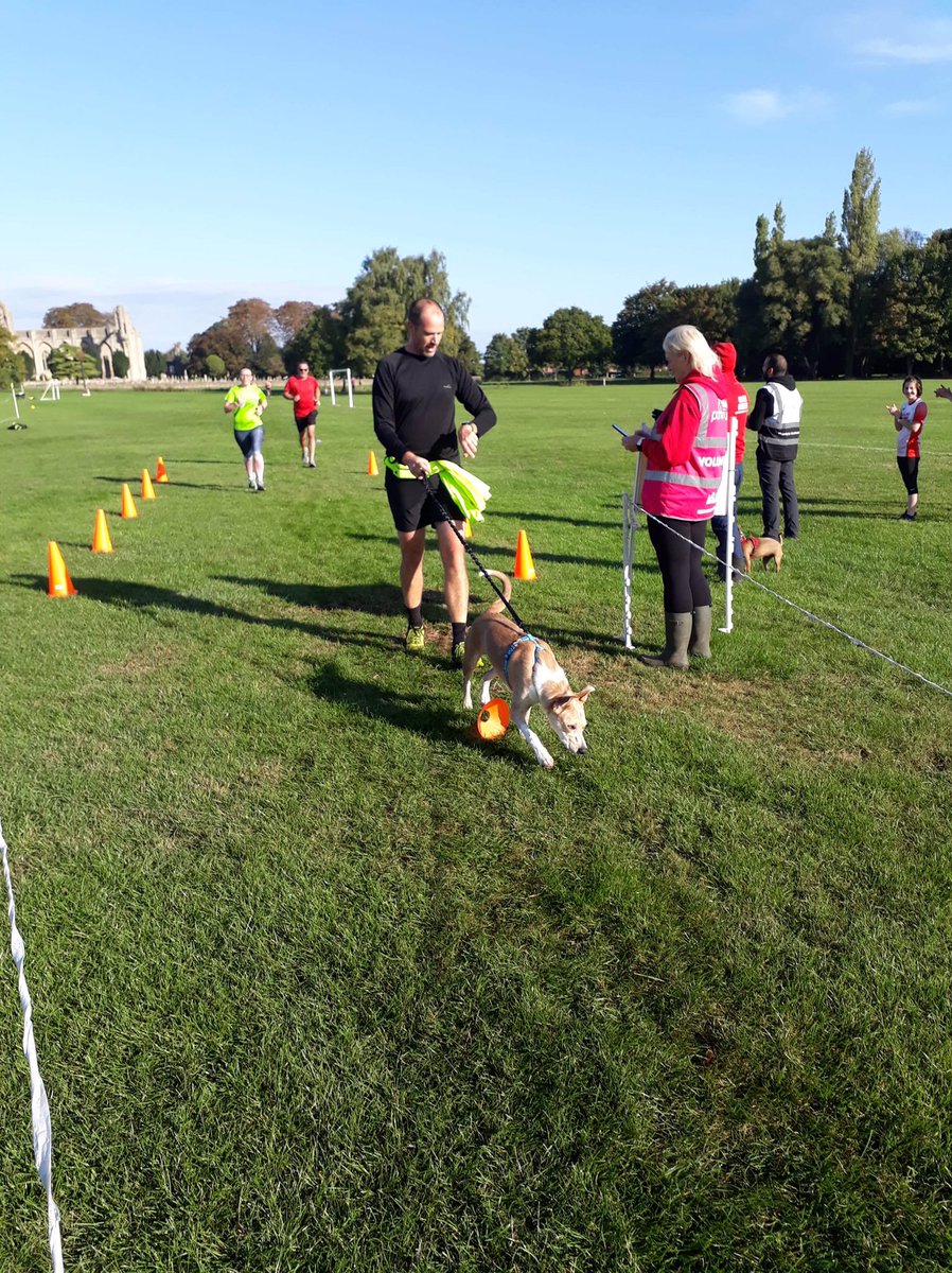 Halmer Harriers tweet media