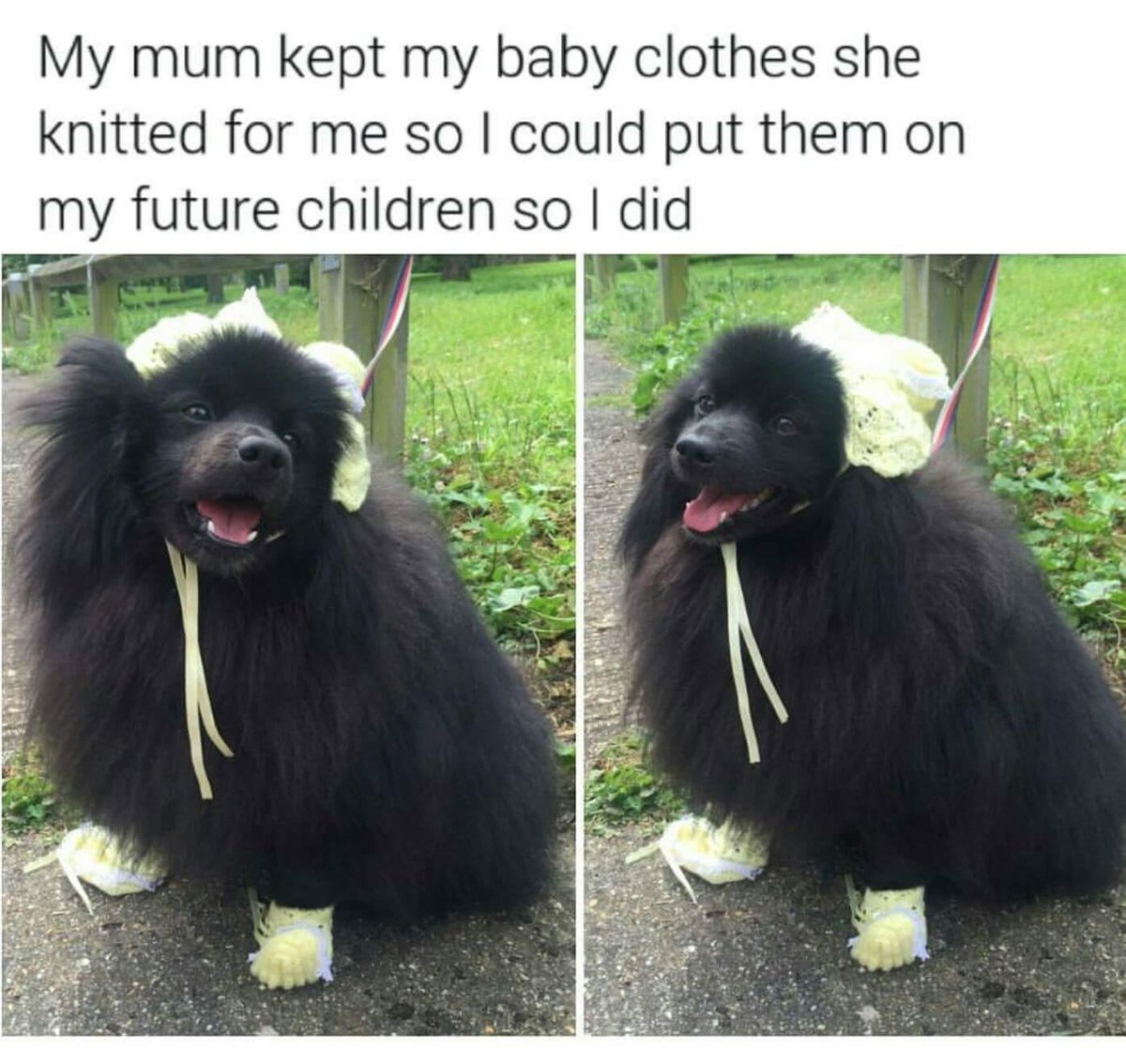 WholesomeMeme's tweet photo. https://t.co/f0JWc4GHyE