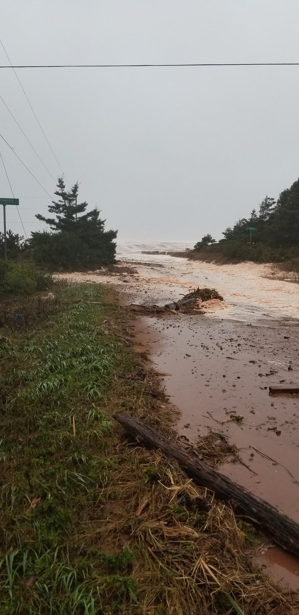 Mona O'Shea tweet media