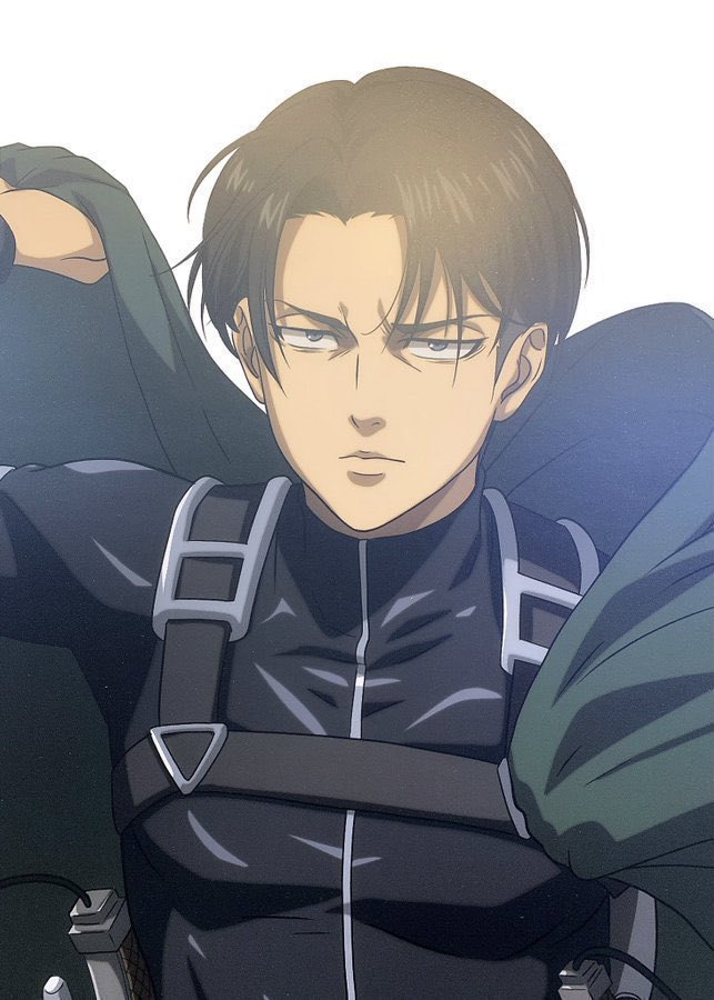 Levi Ackermann Anime  Attack on Titan Wiki  Fandom