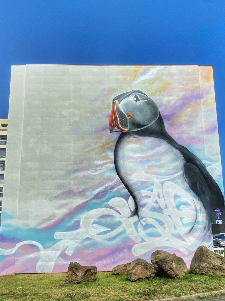 HunterStreetart's tweet photo. [#streetartsaintbrieuc - 📸 AOÛT 2021] Artwork « Monsieur M . Le Briochin » by BRINKS / Tsfcrew, crée dans le cadre du Just Do Paint Festival 2020 (#3) et découvert à #saintbrieuc !
#brinks #tsfcrew #justdopaint #streetart #graffiti https://t.co/X8nIfWsYRi