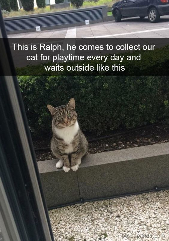 WholesomeMeme's tweet photo. https://t.co/haZztCqA1j